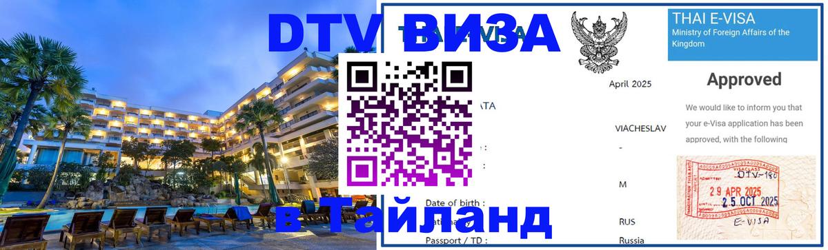 Сколько стоит DTV виза — актуальные цены, оформление даже без документов - 08.01.2026 
